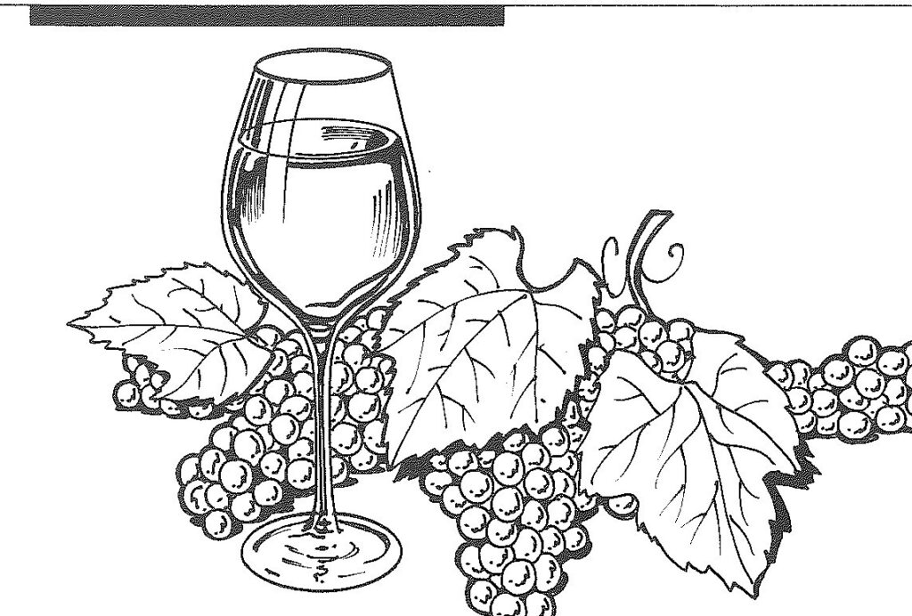 The Wine Lover’s Guide to France