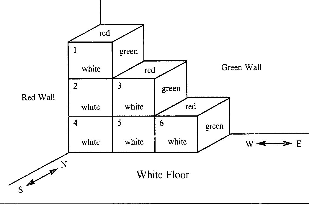 Line drawing of six numbered cubes stacked in a stepped pile in the corner of a room, with the walls, floor and compass points labelled.