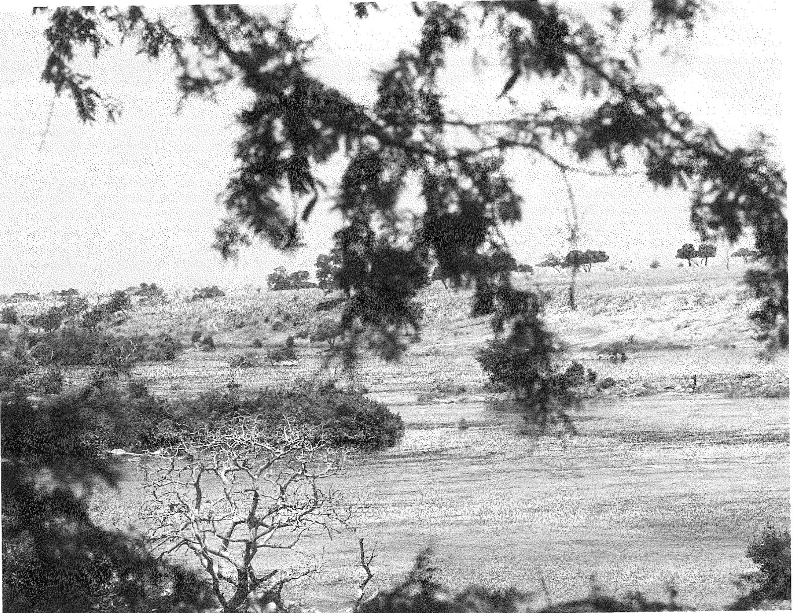 The Victoria Nile flows behind the Kabalega Lodge. Nile perch in these waters can reach 75 kilos or more.