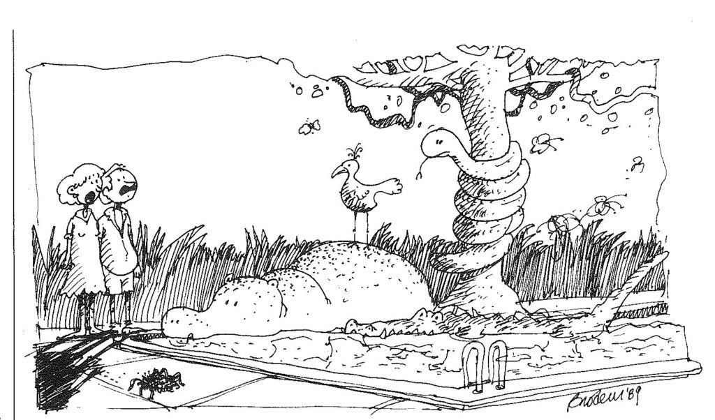 Cartoon: two people stand at the edge of a swimming pool overrun by jungle, a hippopotamus wallowing where the water should be.
