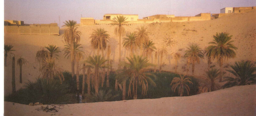 The sand dunes endlessly threaten to close in on the palm groves in the Oasis.