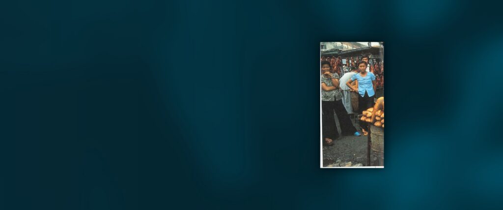 VIET NAM: Meeting Foreign Policy and Development Objectives