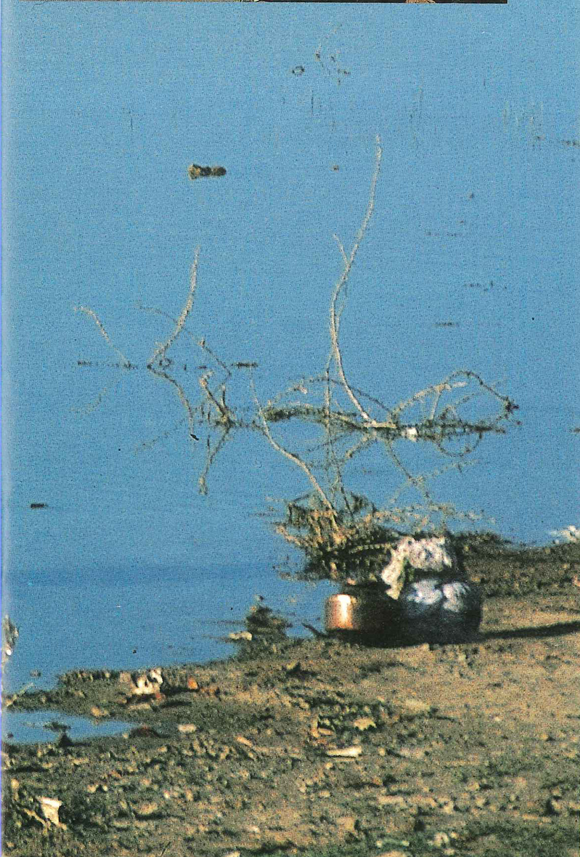 A pot and a bundle of washing on a muddy riverbank, with bare twigs standing in the shallows