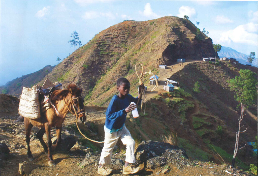 Gagnant : Joël Monfils, Haïti.