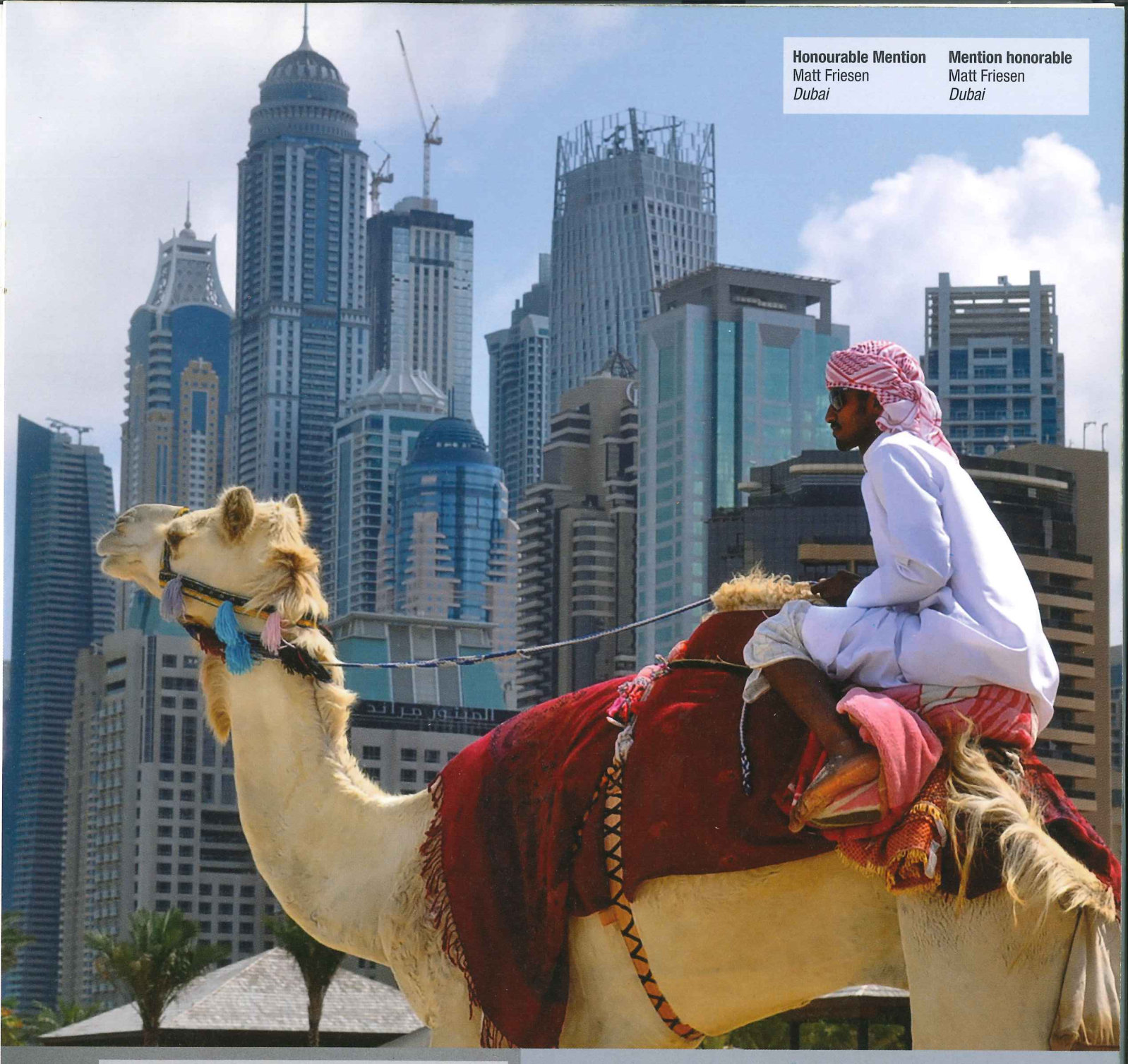 A man in a headscarf sits on a decorated camel in front of a skyline of high-rise towers // Un homme coiffé d’un keffieh est assis sur un chameau harnaché devant une ligne de gratte-ciels