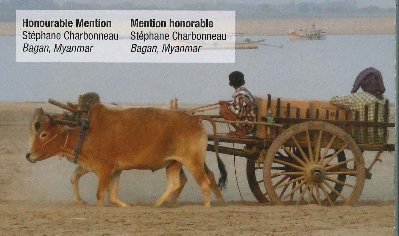 A boy drives an ox-drawn cart along a sandy riverbank, boats on the water behind // Un garçon conduit une charrette à bœufs sur une rive sablonneuse, des barques sur l’eau derrière