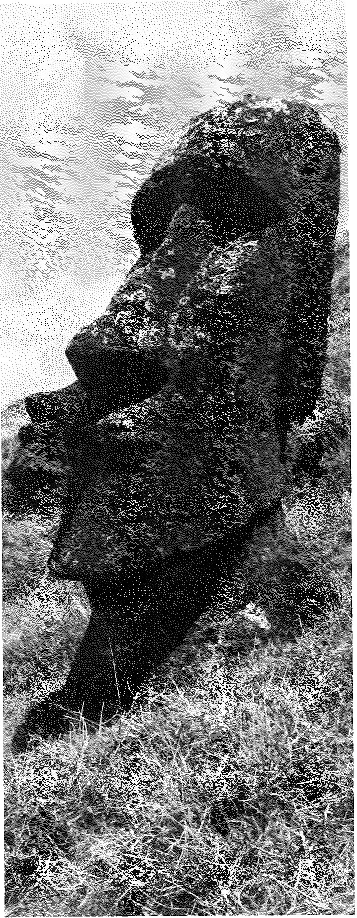 Rapa Nui: An Island in Peril