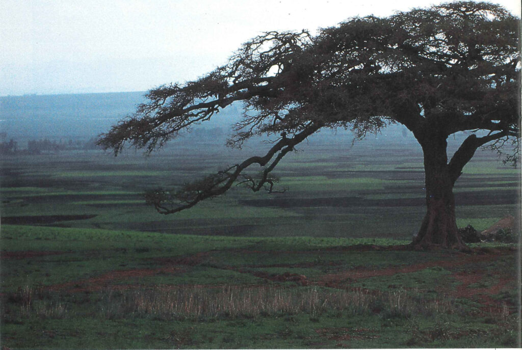 Borders of the Mind in Africa