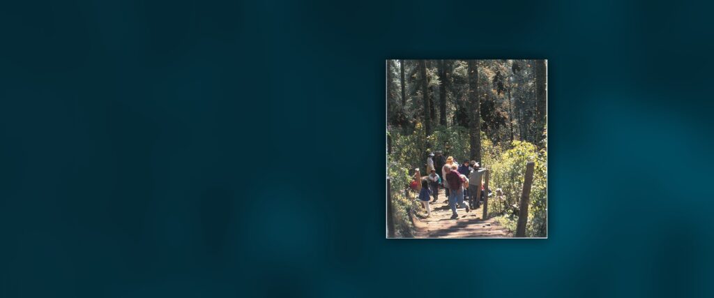 D’un continent à l’autre : des forêts et des hommes