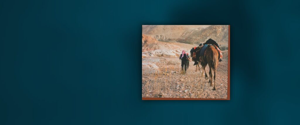 Camel Trekking in Arabia