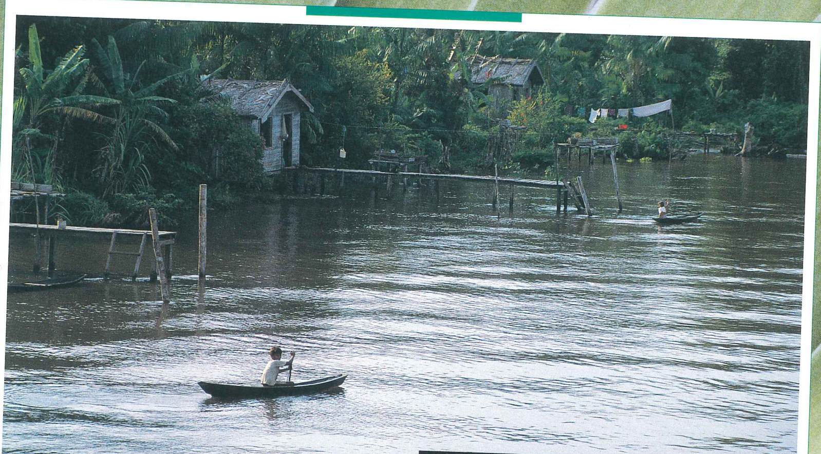 Ilha de Marajo, Lower Amazon