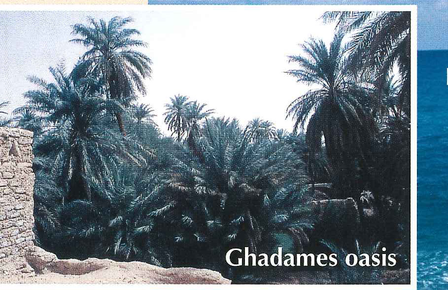 Ghadames oasis