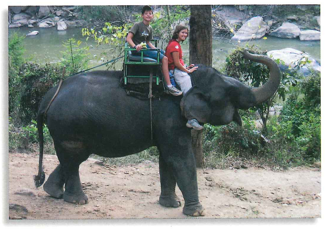 On the elephant trek in northern Thailand