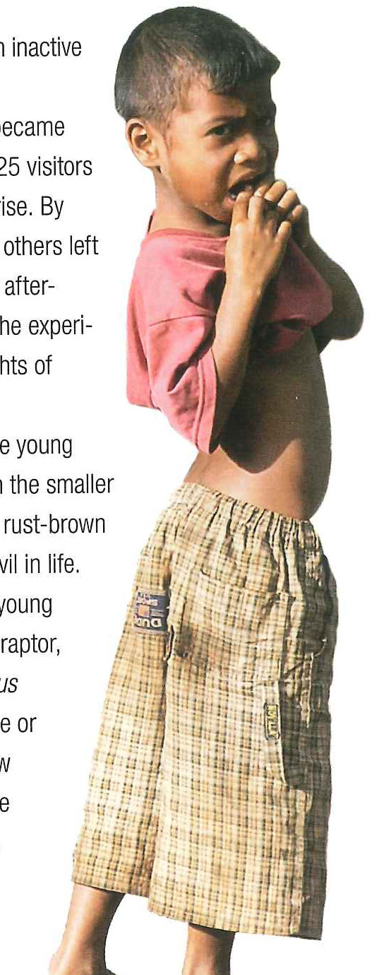 Young boy, Fatamaca, East Timor