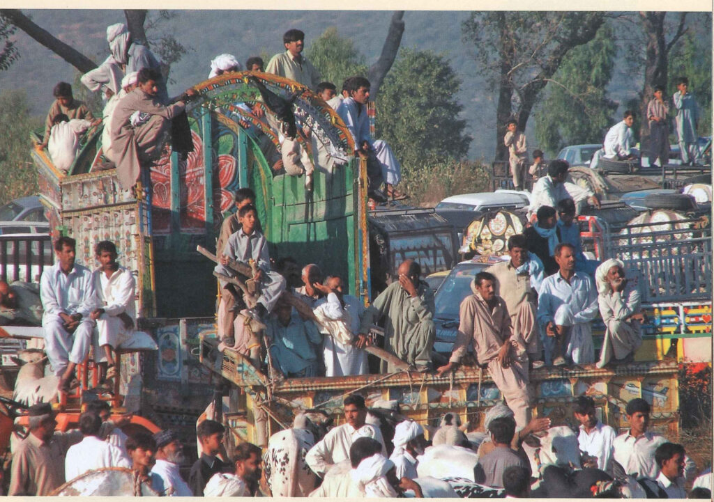 Pastoral Pursuits in Pakistan’s Punjab