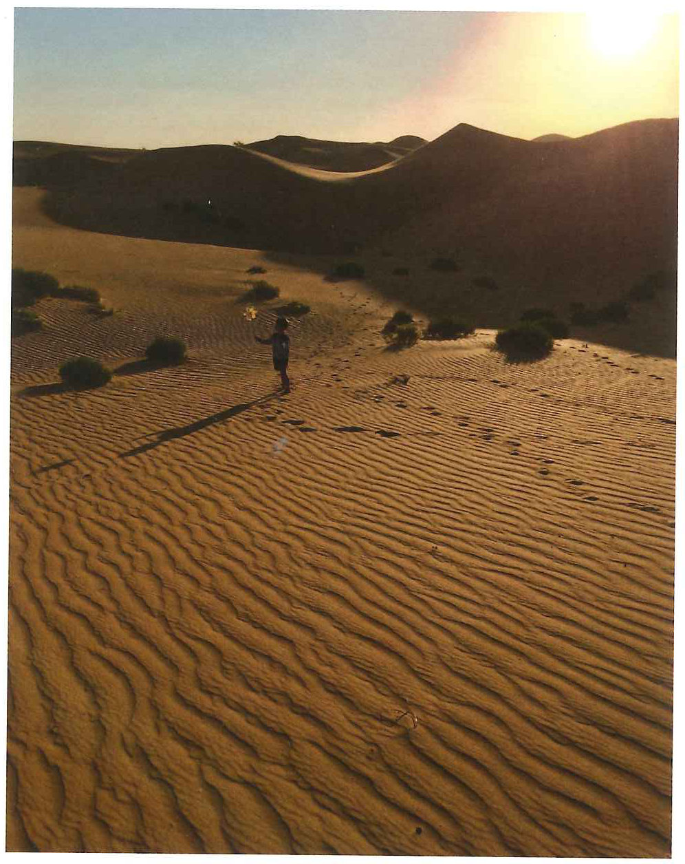 Mention honorable — Nouveau bac à sable d’arrière-cour, Abu Dhabi, Émirats arabes unis, par Chris Gravel